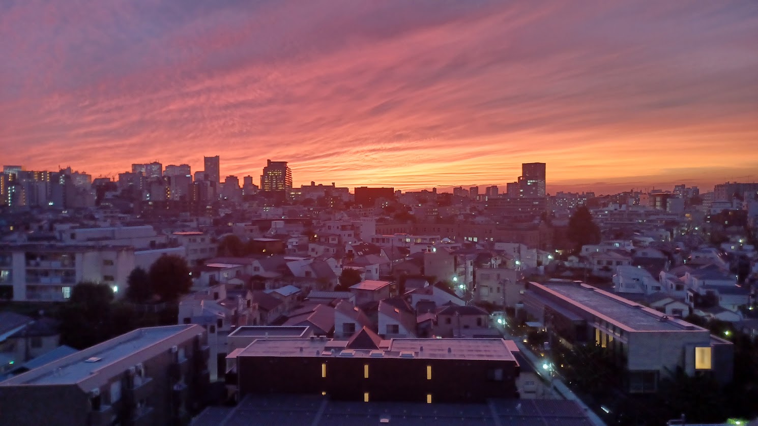 Evening View Image